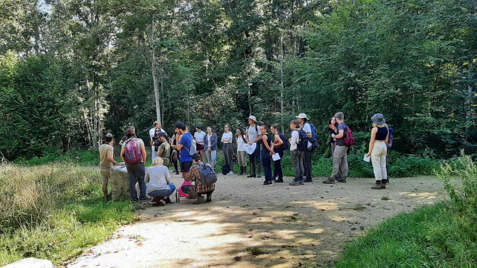 parc fontenay groupe