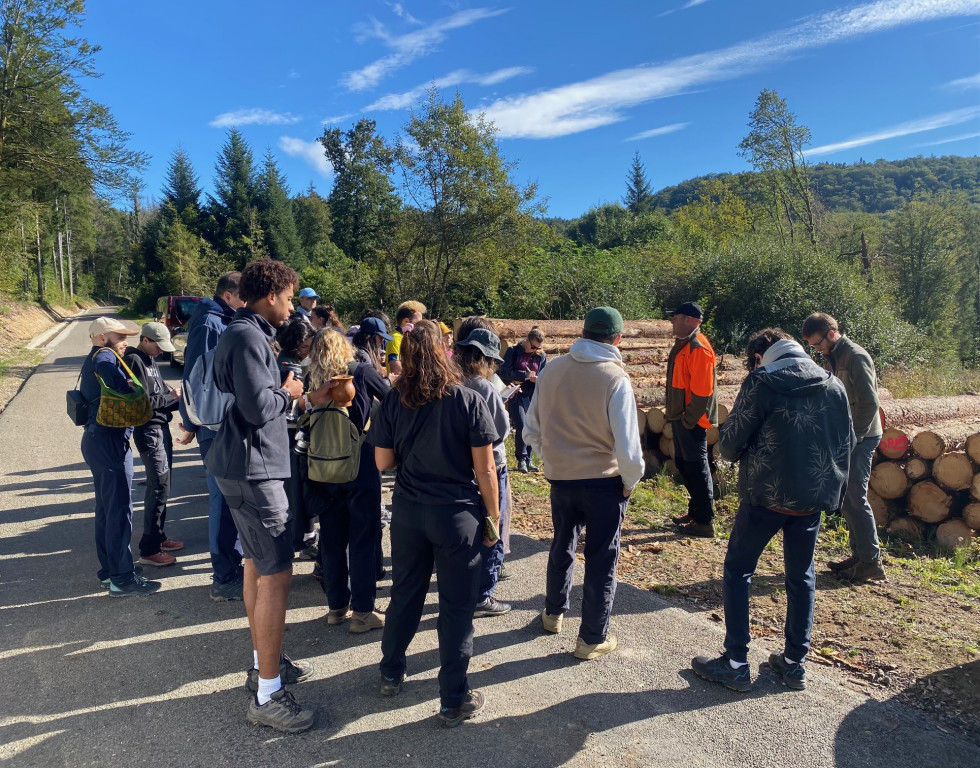 gestion forestière